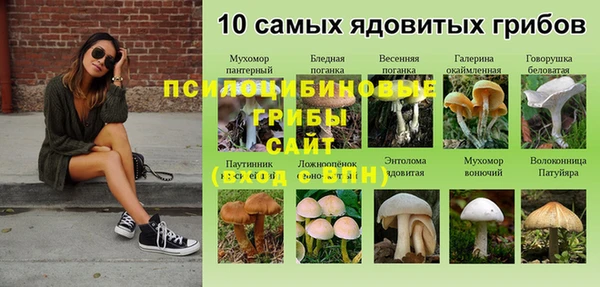 мяу мяу мука Богородск