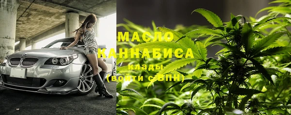 метадон Богданович
