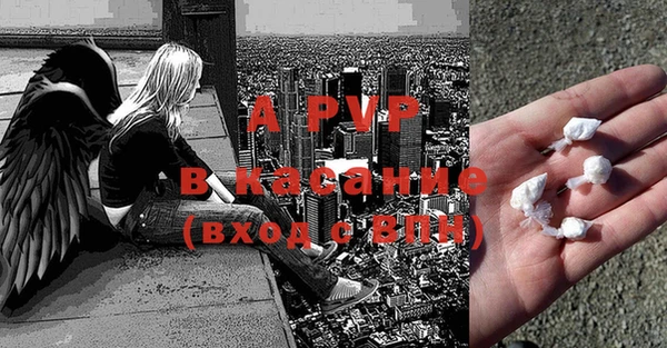 метадон Богданович